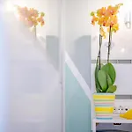 Apartamento Oasis By The Sea *